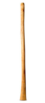 Epoxy Resin Finish Didgeridoo (TM392)